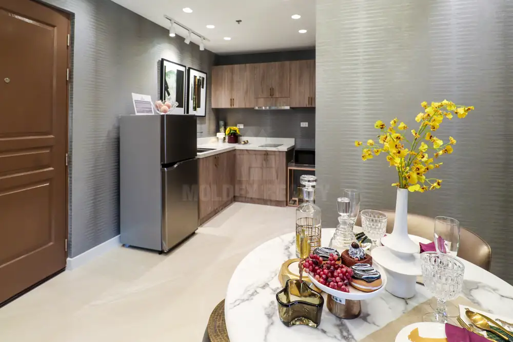 1BR Special residence, 25.90 sqm
